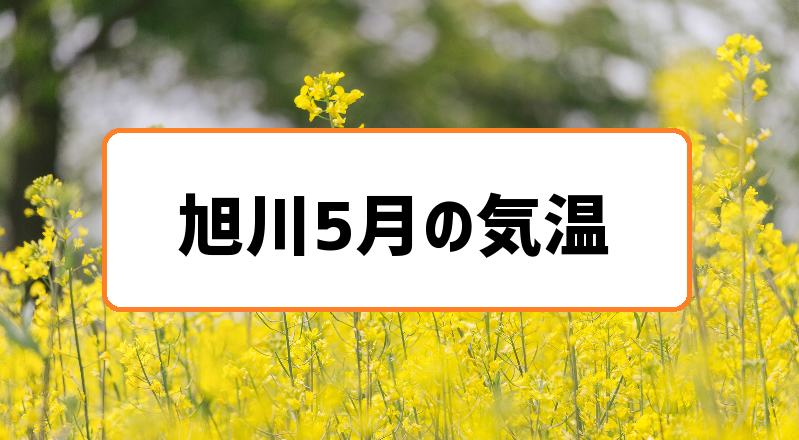 旭川5月の気温