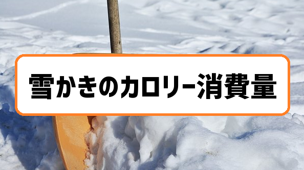 雪かきのカロリー消費量をスポーツと比較 汗をかくほどの有酸素運動