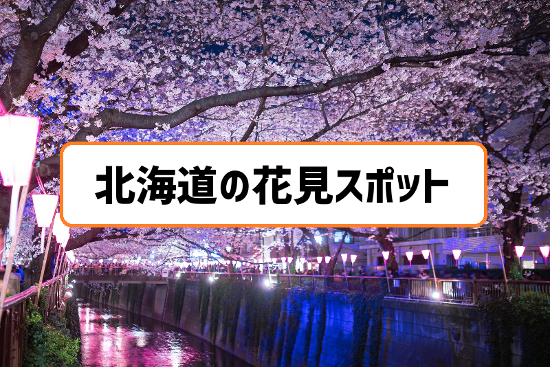 北海道の花見スポットとイベント 札幌から函館までの桜名所まとめ
