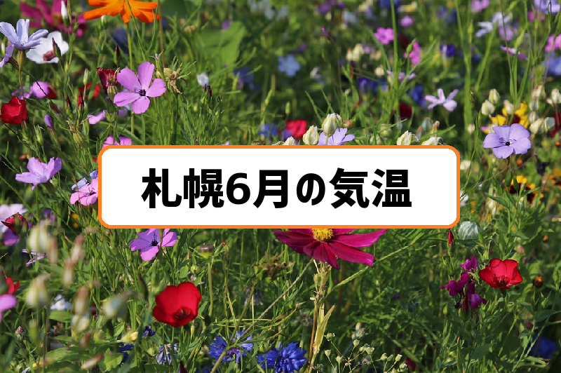 札幌6月気温の過去3年分まとめ 春から初夏へと移ろう心地よい暖かさ