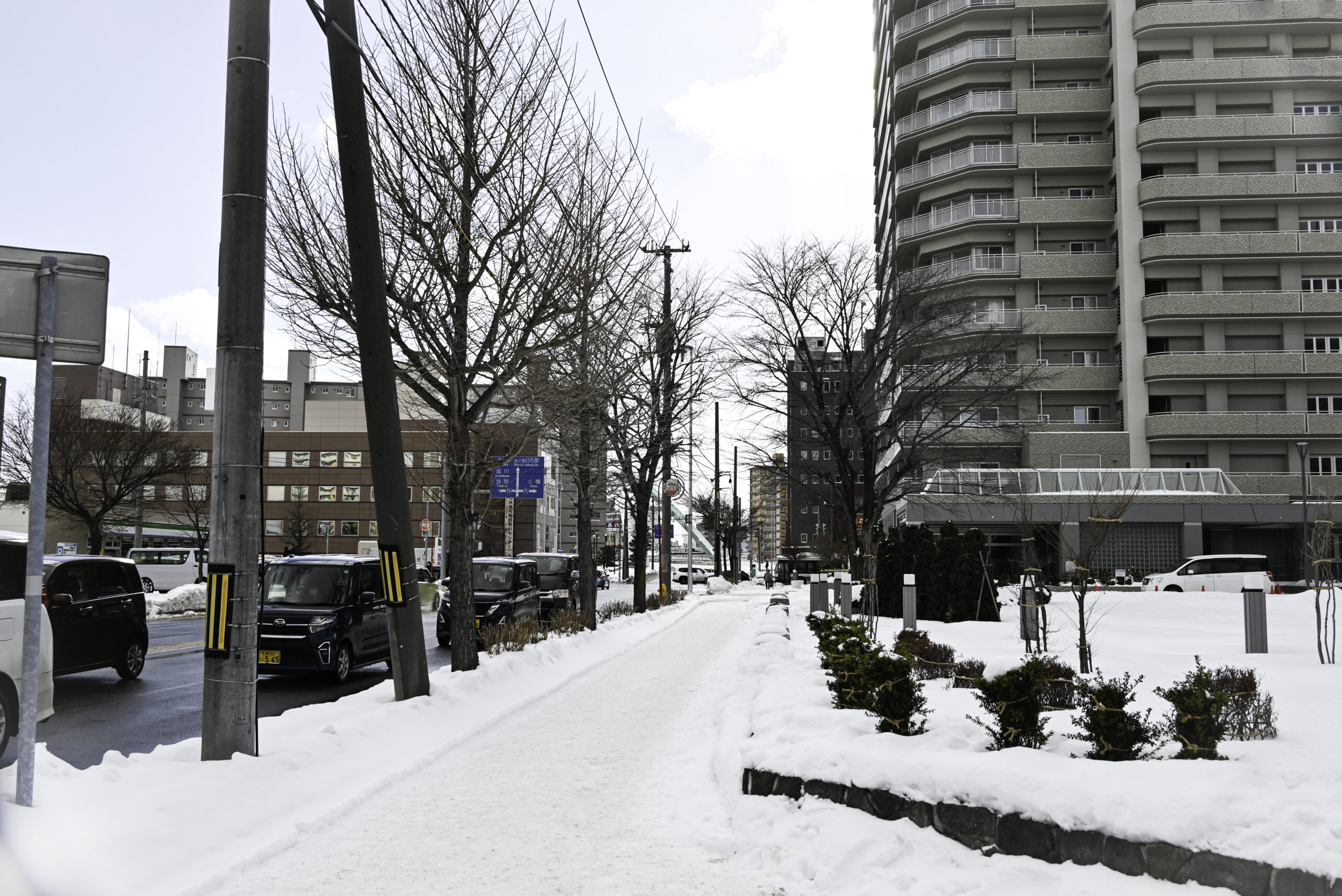 札幌まごころ食堂場所